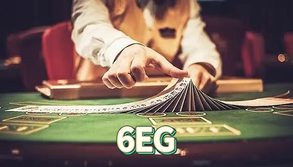 6EG termos — contrato de uso e regulamento da plataforma